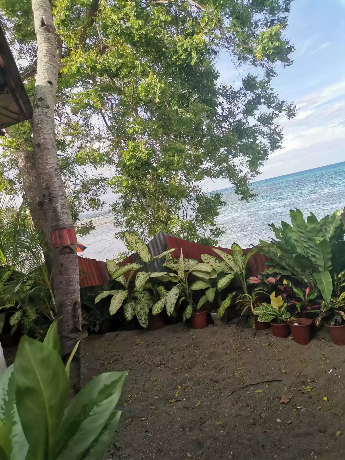 Beachlot in Liloan for Sake — Beach Lot in Liloan, Cebu, Philippines — Photo 5