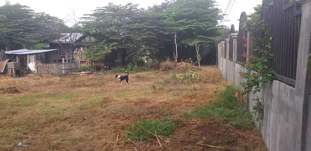 Lot for Sale : 1000 sqm with fence and gate in Morales Subdivision City Heights, GSC — Residential Lot in General Santos City, South Cotabato, Philippines — Photo 5