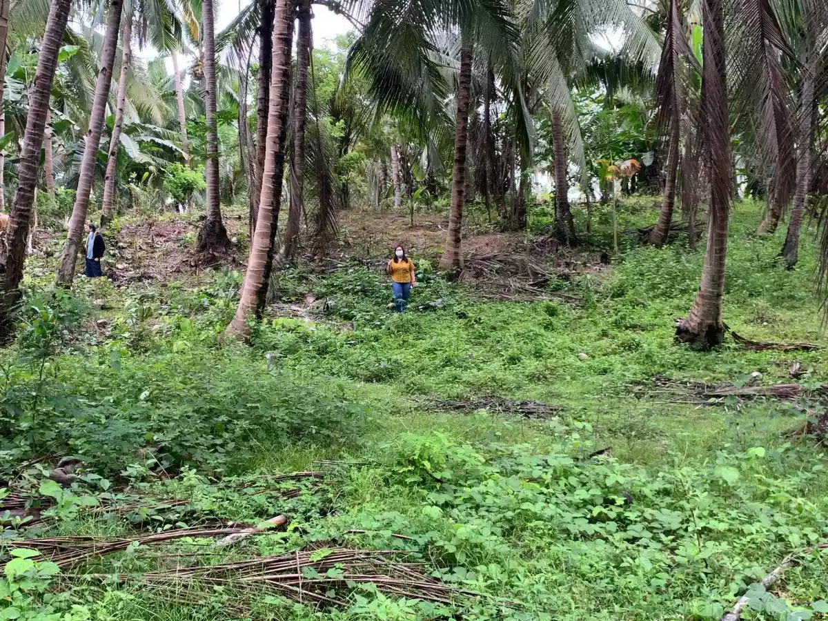 Taluya Glan Highway Property — Agricultural Lot in Sarangani, Philippines — Photo 5