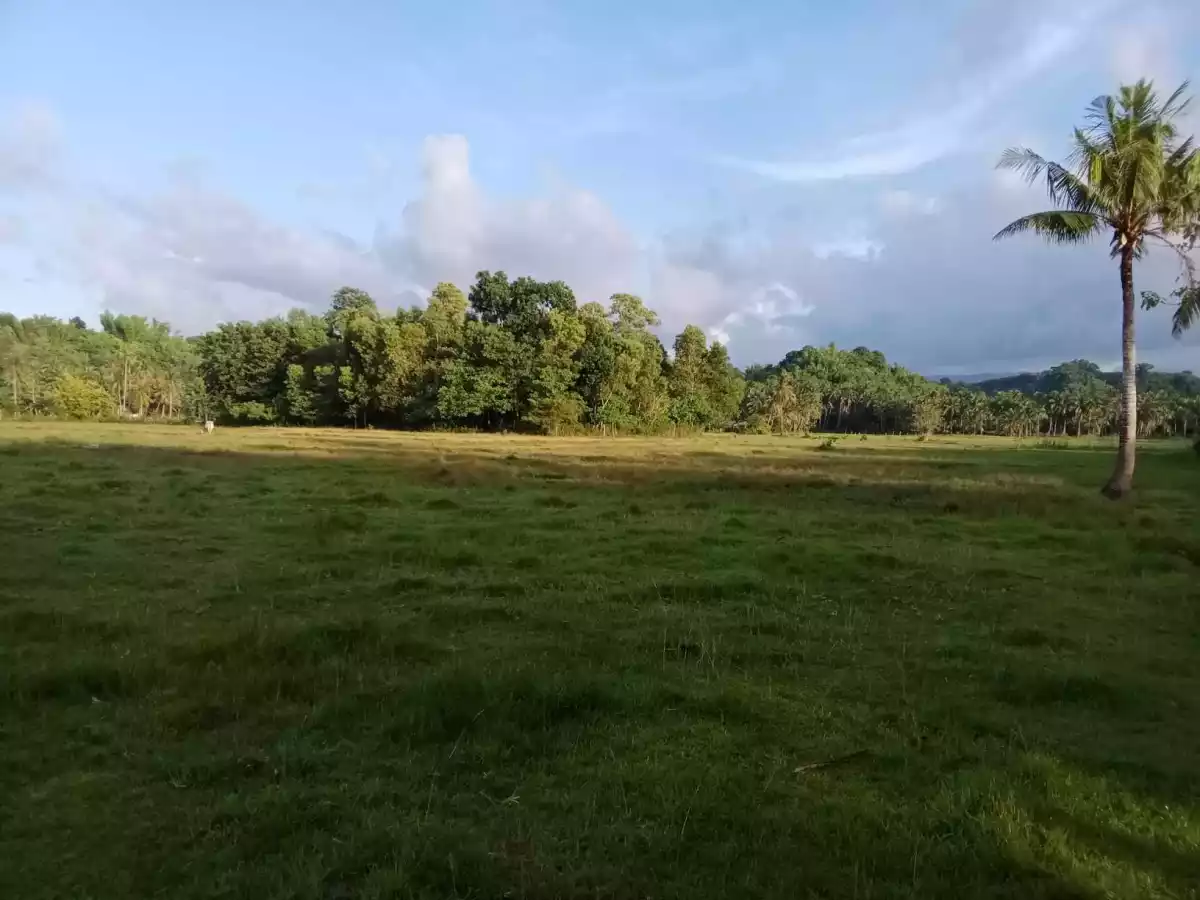 LOT FOR SALE — Agricultural Lot in Zamboanguita, Negros Oriental, Philippines — Photo 3