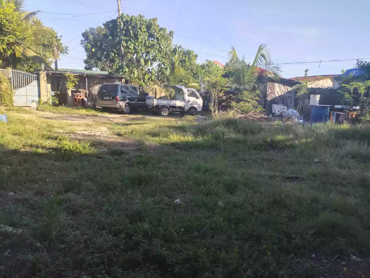 Lot for Sale in Maslog, Danao City — Agricultural Lot in Danao City, Cebu, Philippines — Photo 2