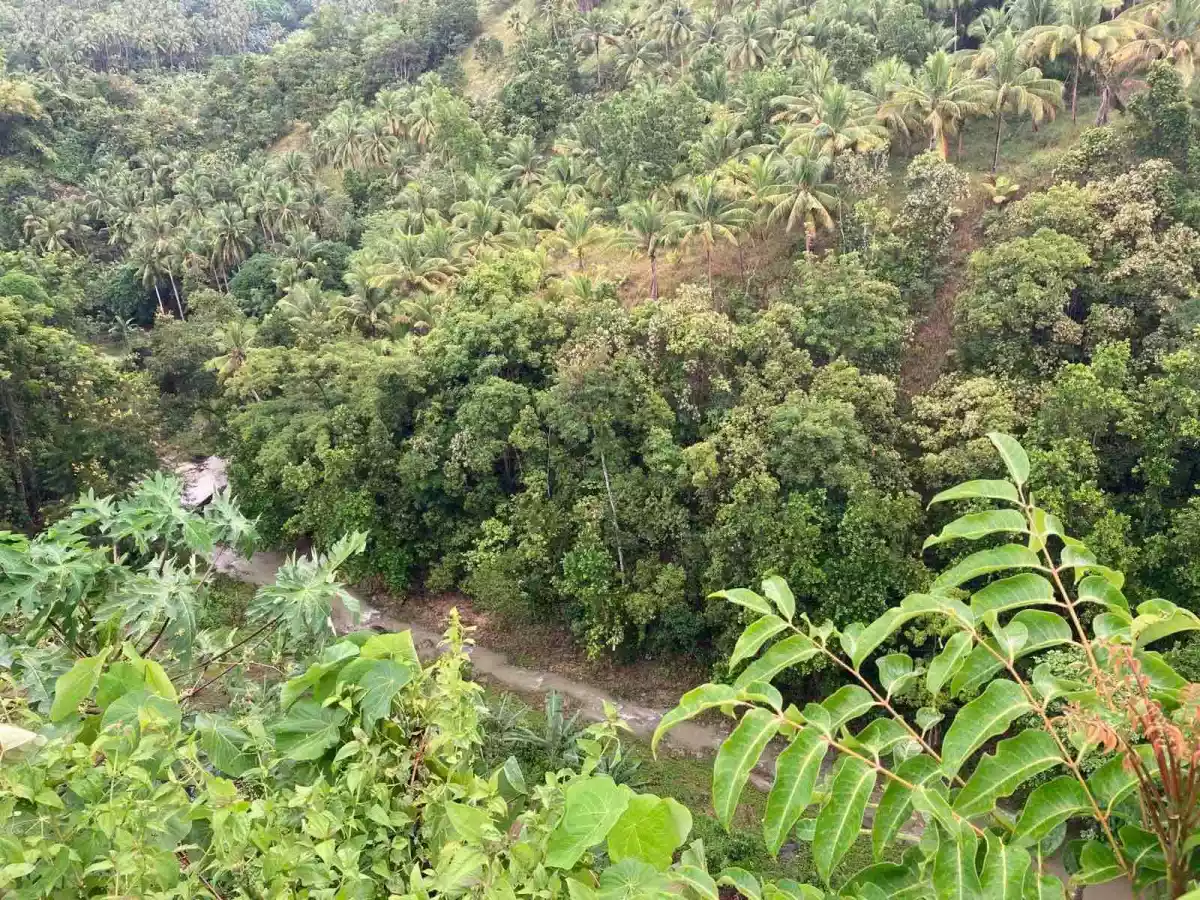Eric Manigo — Agricultural Lot in Cebu City, Cebu, Philippines — Photo 6