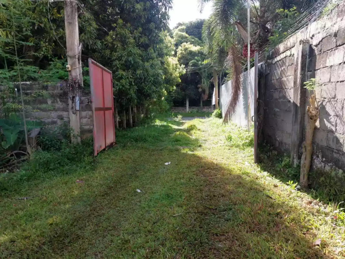 Open photo 19 of 26 — Farm Lot Convertible to Residential