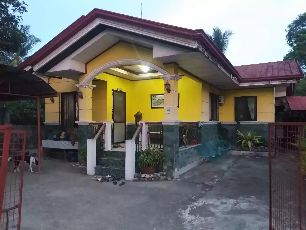 House and lot - photo 6