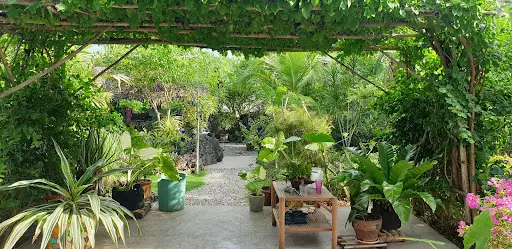 Open photo 37 of 38 — Beach House in Bantayan Island For Sale
