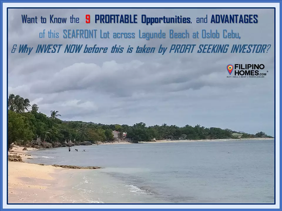 Why See the 9 PROFITABLE ADVANTAGES of this SEAFRONT LOT across Lagunde Beach at Oslob, Cebu?