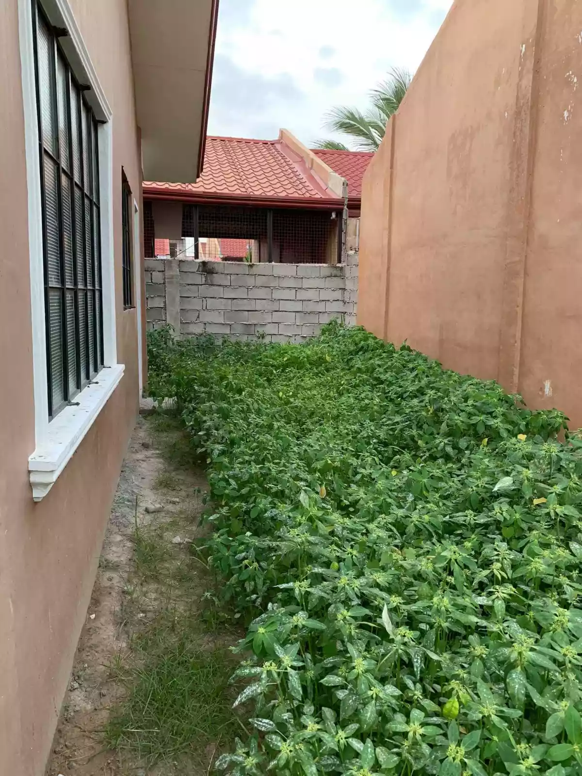 Agan North Phase 4 for assume - photo 2