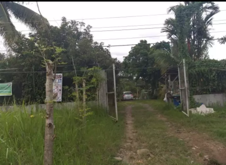 LOT FOR SALE - photo 3