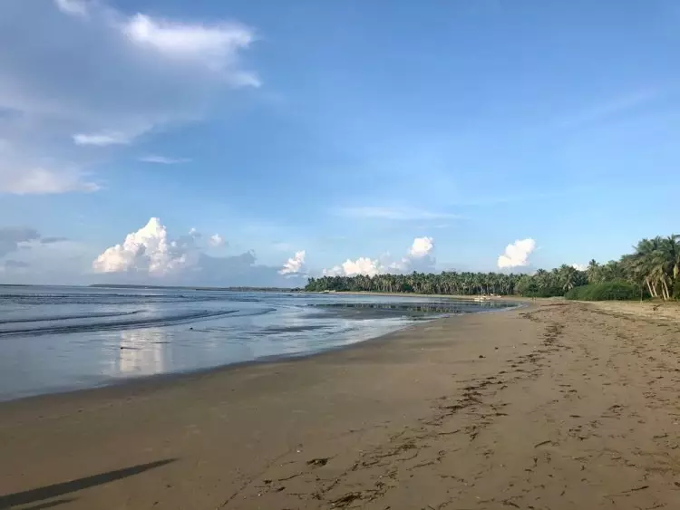 Beach Lot For Sale Puerto Princesa Palawan City - photo 3