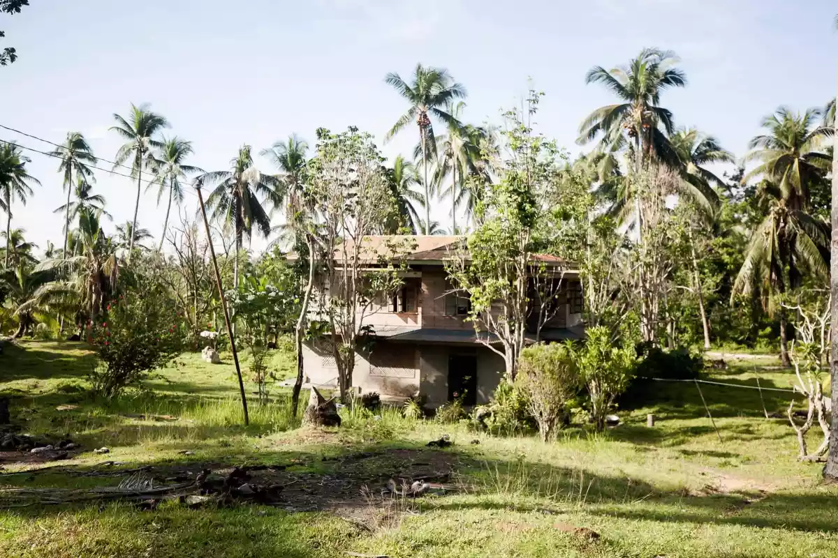 Overlooking Clean Title Lot for Sale in Bangcal,Jimalalud, Negros Oriental — Agricultural Lot in Jimalalud, Negros Oriental, Philippines — Photo 5