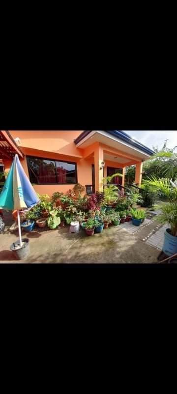 House and Lot For Sale  in Calajoan — House and Lot in Minglanilla, Cebu, Philippines — Photo 6