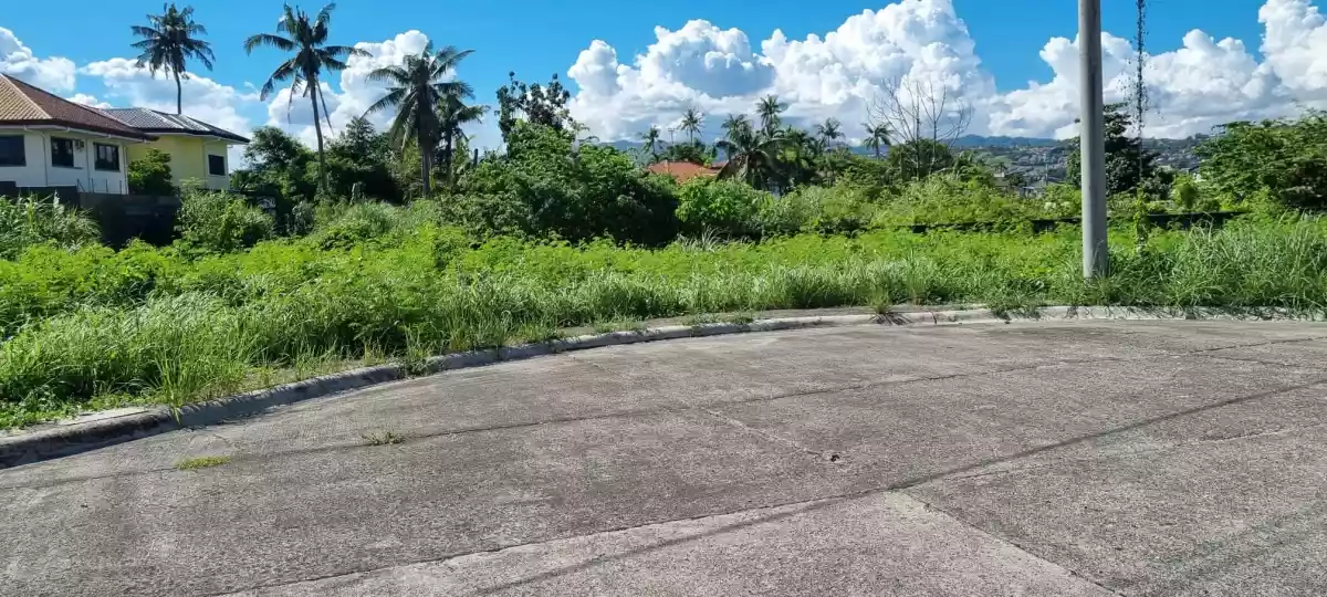 Lot for sale in Corona del Mar Subd. Talisay City