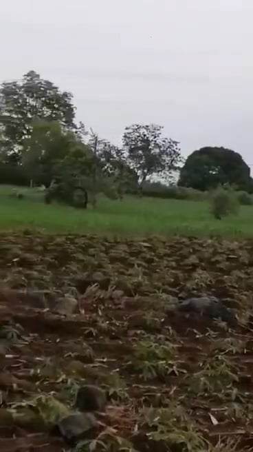 For sale Titled lot in Bukidnon — Agricultural Lot in Manolo Fortich, Bukidnon, Philippines — Photo 4
