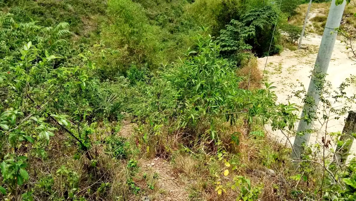 Lot for sale - photo 3