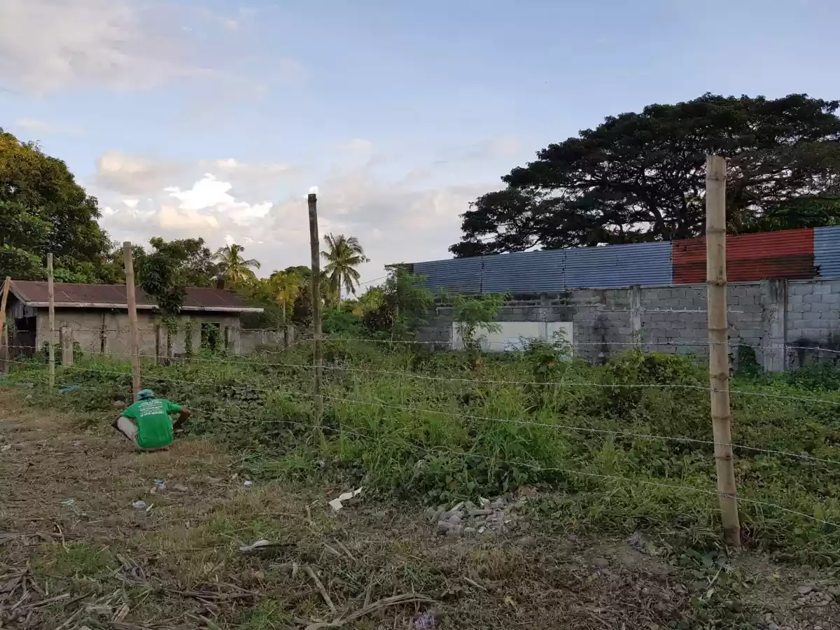 Lot for sale — Commercial Lot in Binalbagan, Negros Occidental, Philippines — Photo 4