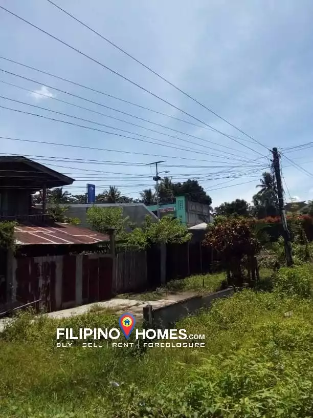 AFFORDABLE COMMERCIAL LOT IN BAYUGAN CITY - photo 6
