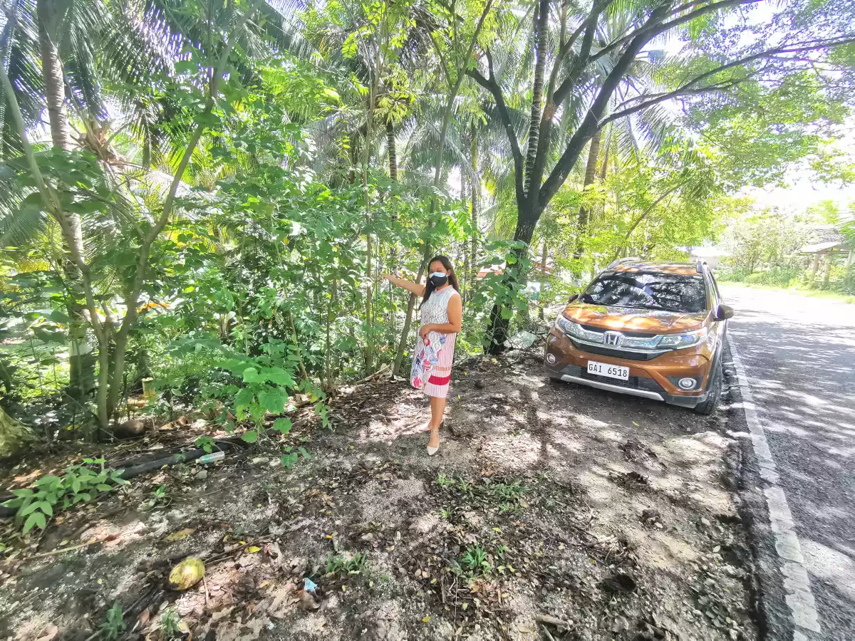 Lot for Sale in Argao - photo 2