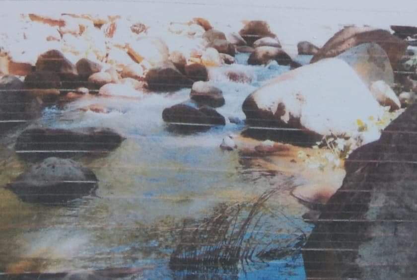 FARM LOT FOR SALE IN NAVAL, BILIRAN - photo 2