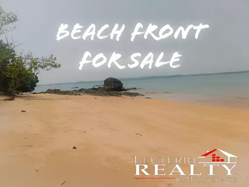 Agri BeachFront For Sale!!! — Beach Lot in Camarines Sur, Philippines — Photo 5