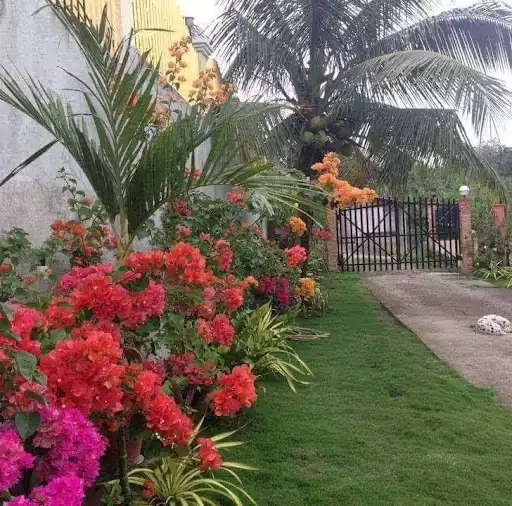 HOUSE AND LOT FOR SALE IN MAASIN LEYTE — House and Lot in Southern Leyte, Philippines — Photo 5