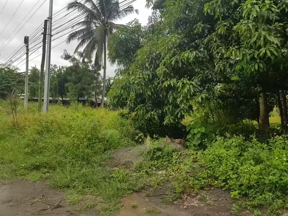 lot for sale in Silway 8 — Agricultural Lot in South Cotabato, Philippines — Photo 7