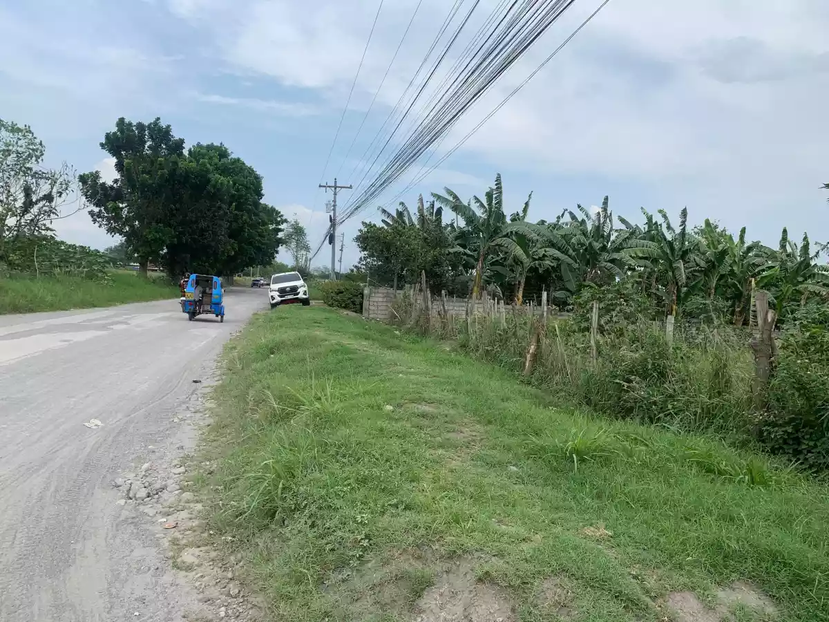 1 HECTARE COMMERCIAL LOT FOR SALE - photo 2
