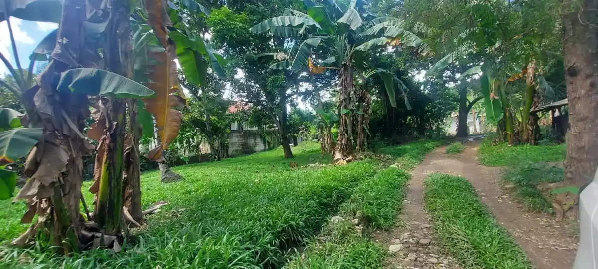 Lot for Sale - photo 2