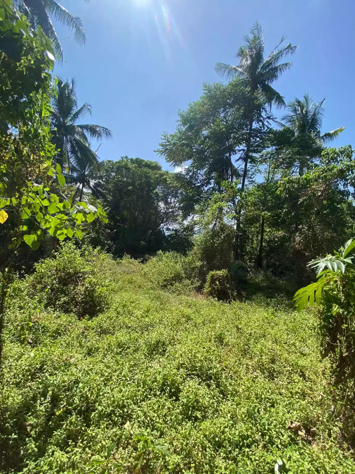 Lot For Sale With Road Right of Way Along Sibulan Diversion Road — Agricultural Lot in Sibulan, Diversion Road, Sibulan — Photo 2