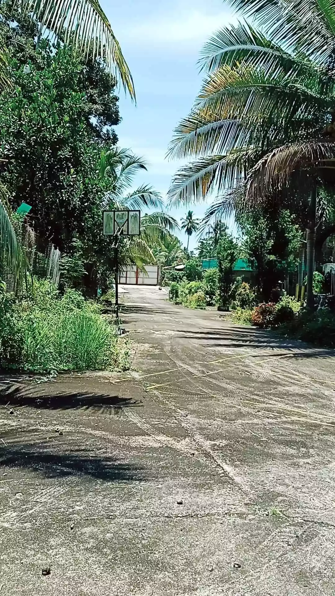 Residential Lot — House and Lot in Calinan District, Davao City, Davao del Sur — Photo 3