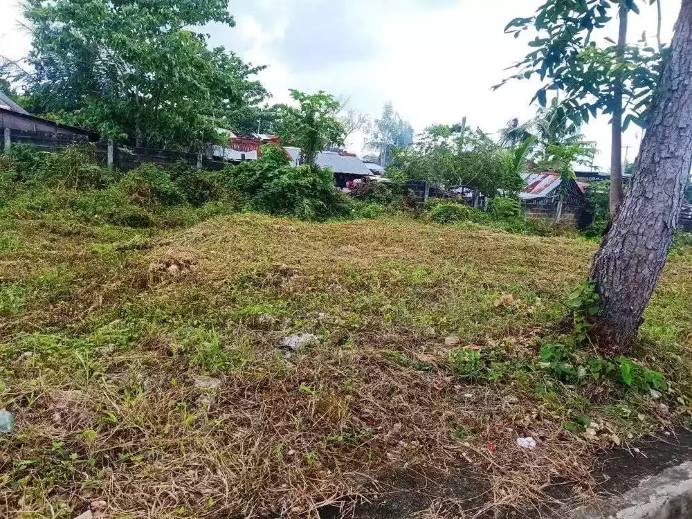 Lot for sale inside subdivision in Golden Meadows, Cordova, Cebu — Residential Lot in Cordova, Cebu, Philippines — Photo 3