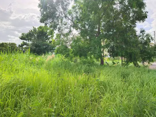 Overlooking subdivision lot - photo 2