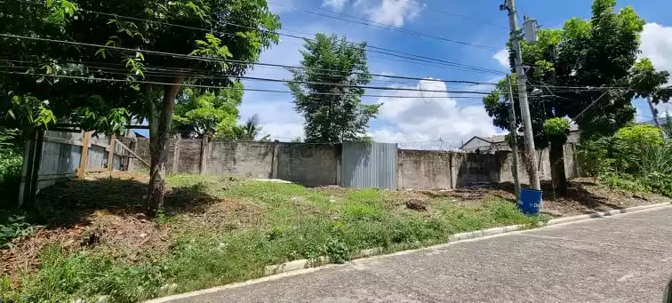 Residential Lot for Sale in SunnyHills Subdivision, Talamban Cebu - photo 6