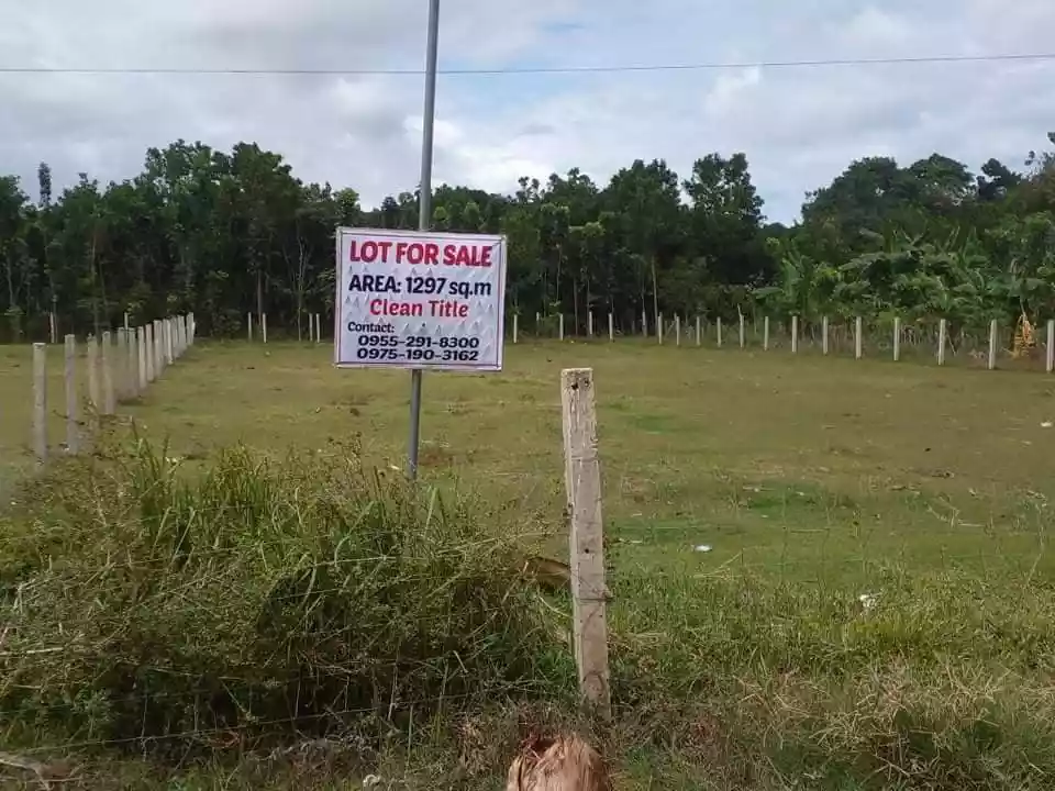 Clean Title Lot for Sale in Batinguel Dumaguete City - photo 5