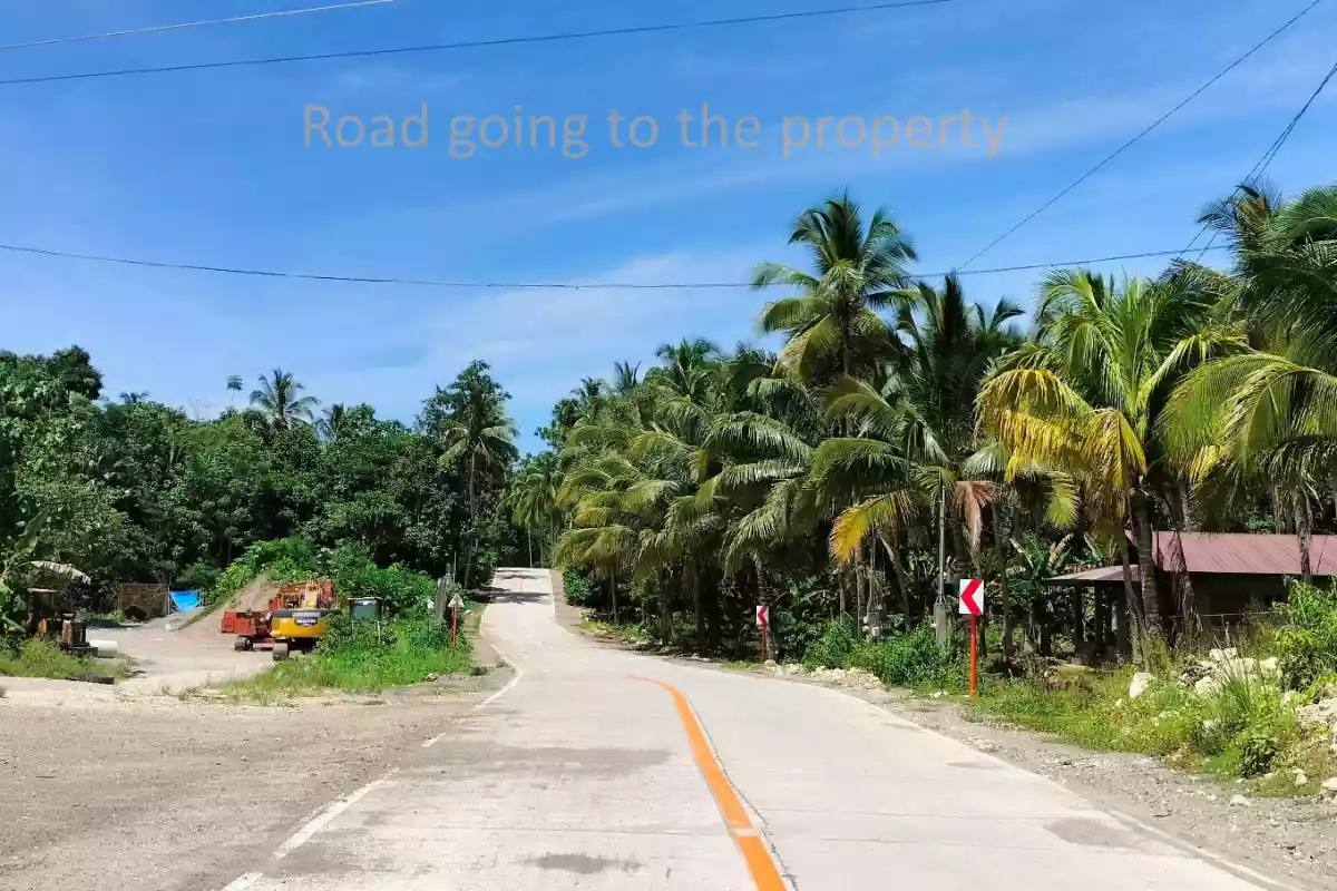 Overlooking Samal Lot Fronting High-end Resort — Residential Lot in Babak, Island Garden City of Samal, Davao del Norte — Photo 4