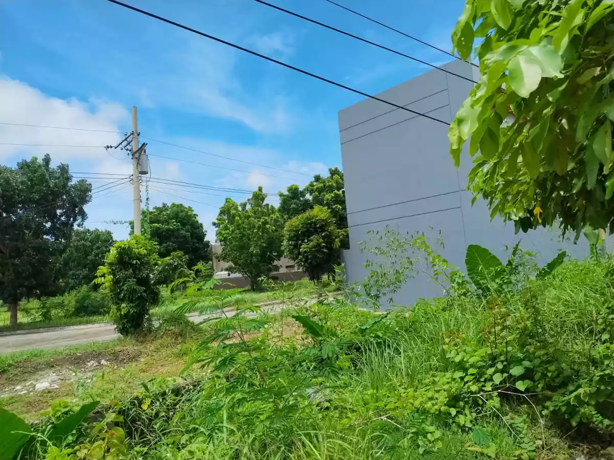 Commercial Lot in Green Meadows — Commercial Lot in Iloilo, Philippines — Photo 4