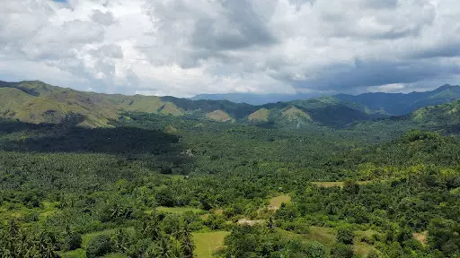 2.9 Hectares Overlooking Farm Lot For Sale in Initao Misamis Oriental — Agricultural Lot in Bayan ng Opol, Lalawigan ng Misamis Oriental, Philippines — Photo 7