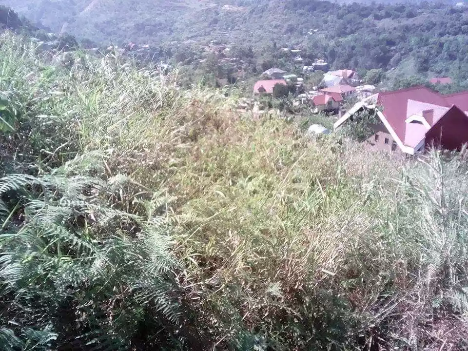 Alta Verde Subdivision- Baguio City — Residential Lot in Asin Road, Tuba, Benguet — Photo 7
