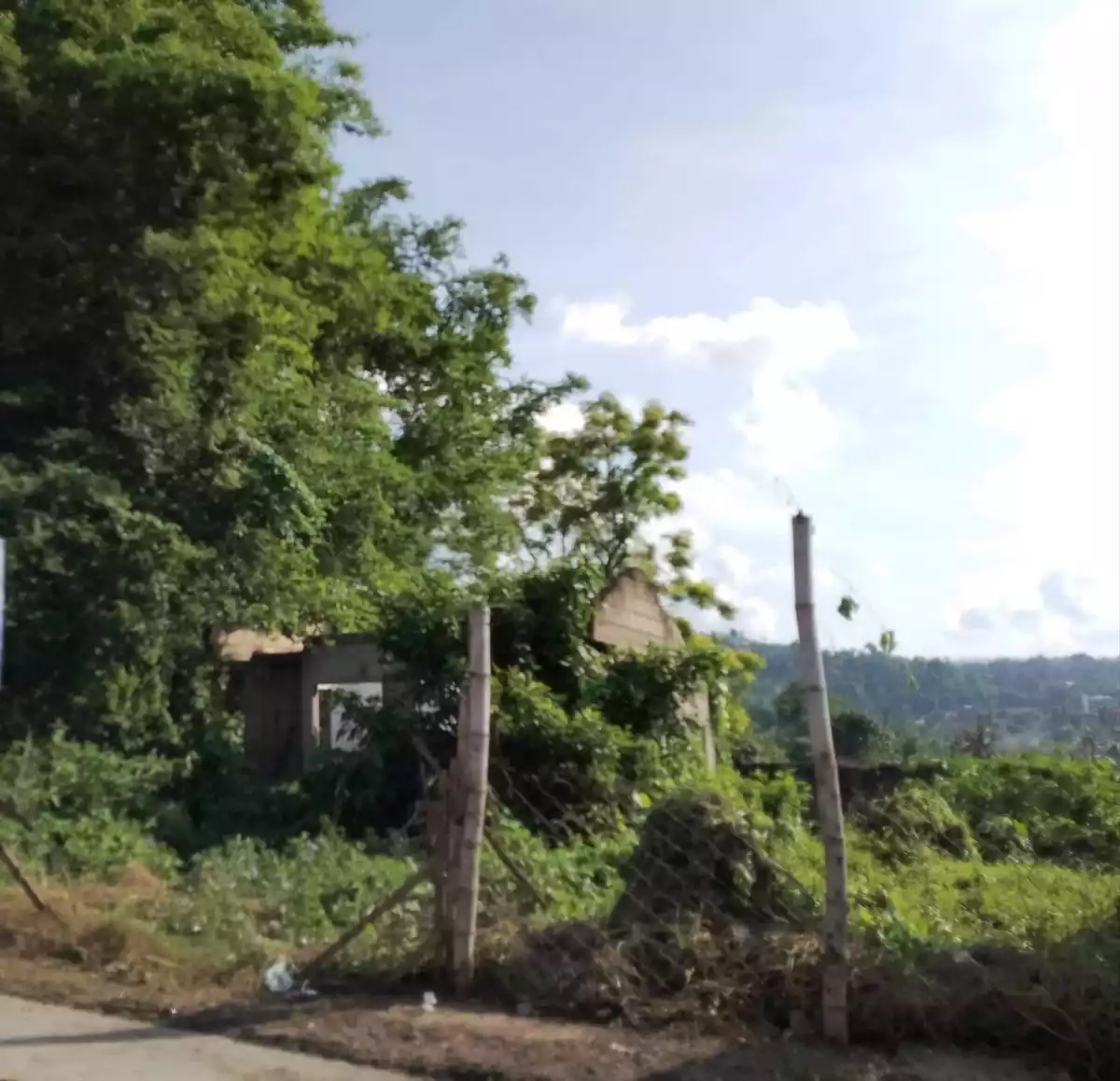 Residential land - photo 4