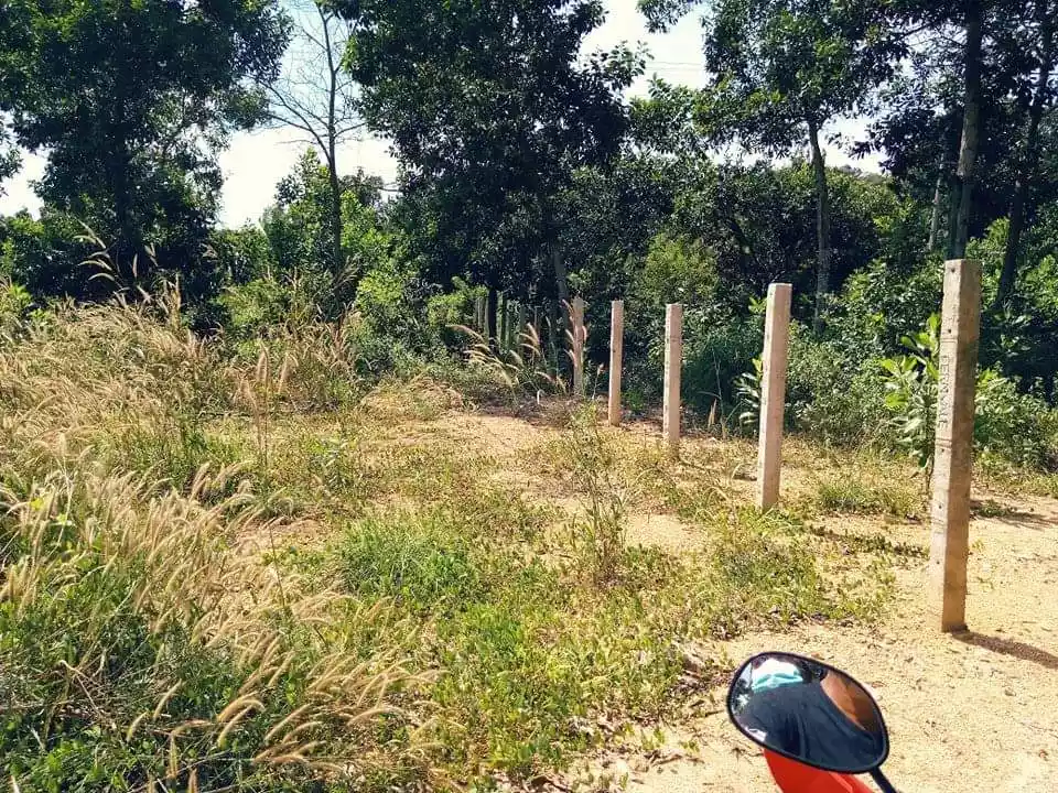 COMMERCIAL LOTS FOR SALE IN CORON, PALAWAN — Commercial Lot in Palawan, Philippines — Photo 5