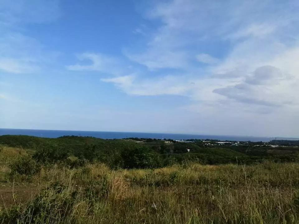 Overlooking lot for sale in danao  - photo 4