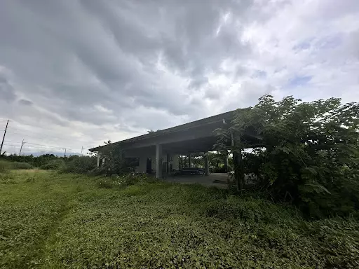 Agro Industrial Lot For Sale — Agricultural Lot in Laguna, Philippines — Photo 4