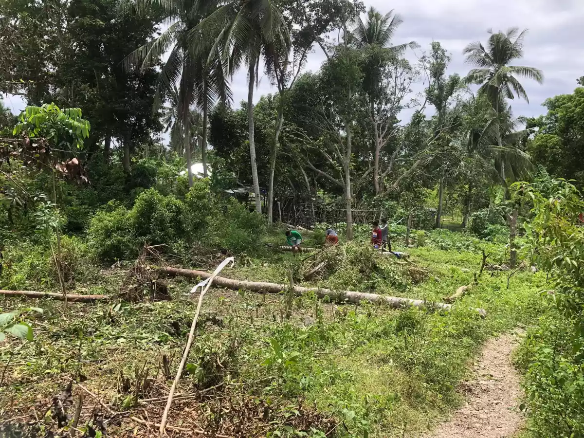 Lot for Sale in Dauis, walking distance to the beach! — Residential Lot in Dauis, Bohol, Philippines — Photo 3