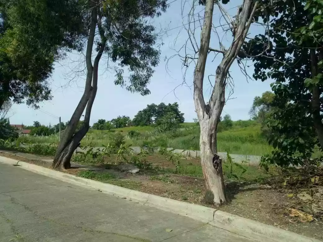 Residential Lot for Sale inside Subdivision — Residential Lot in Cagayan de Oro, Misamis Oriental, Philippines — Photo 6