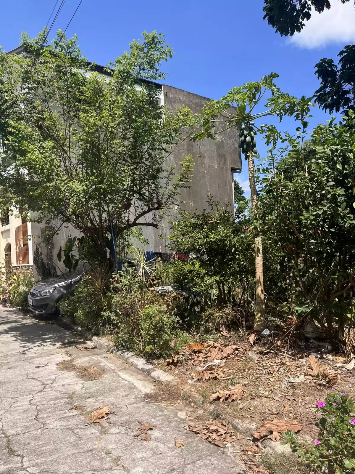 Lot for Sale in Centro Talamban, Cebu City - photo 6