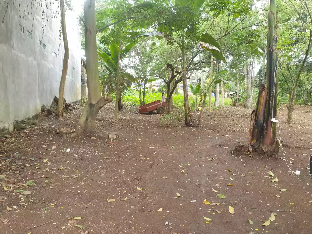Rush Sale Residential Lot — Residential Lot in Malaybalay, Bukidnon, Philippines — Photo 3