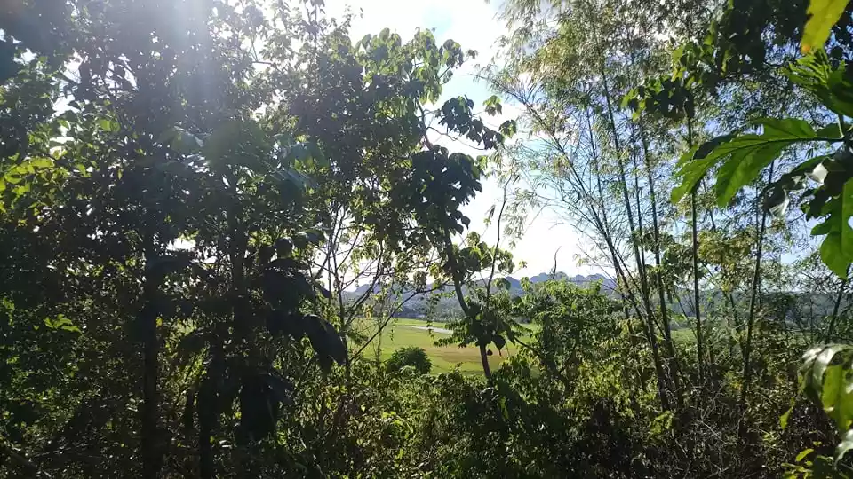 LOT FOR SALE in Sipalay city good for Residential and Inland Resort — Agricultural Lot in Negros Occidental, Philippines — Photo 6