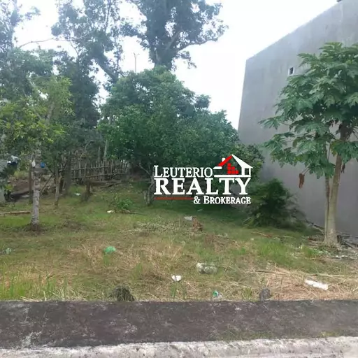 Open photo 26 of 27 — Rush Lot For Sale