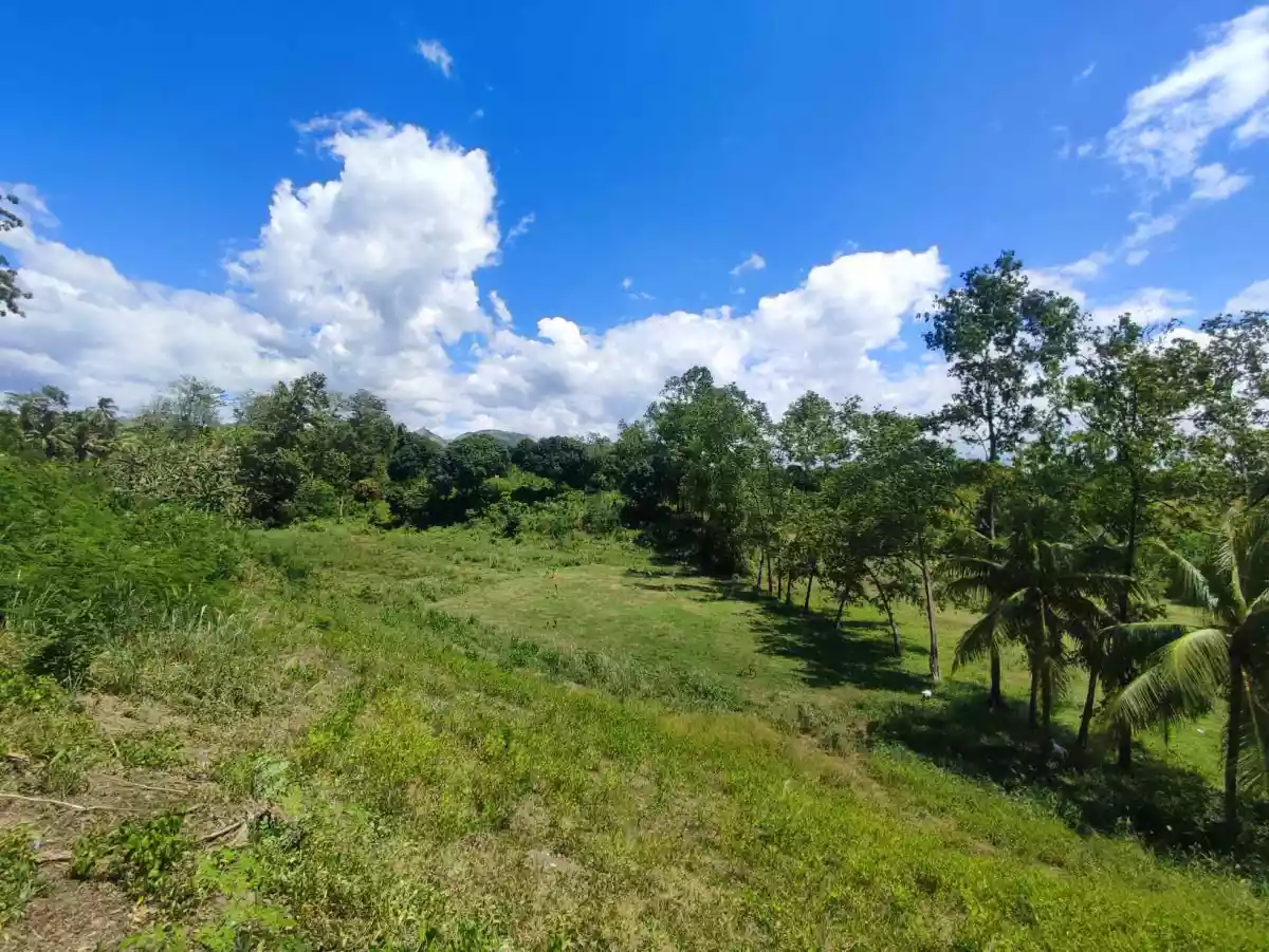 LOT FOR SALE - photo 3