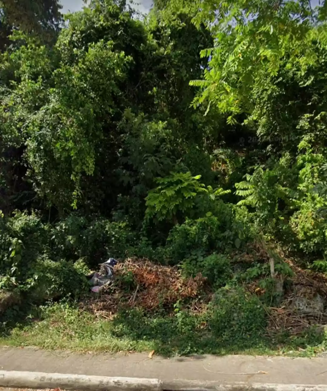 Commercial Lot in Tagbilaran City for Sale!!! — Commercial Lot in Tagbilaran City, Bohol, Philippines — Photo 4