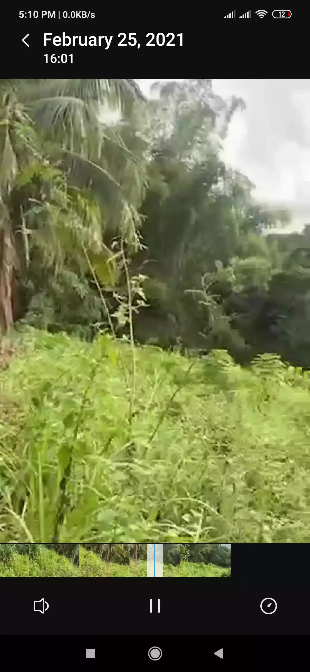 Agricultural Lot in Naga Cebu for Sale  - photo 4